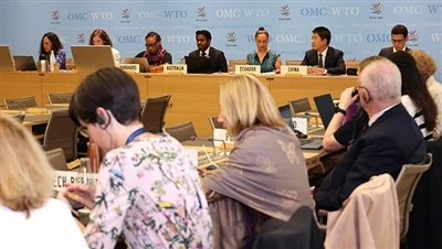 WTO gaat Amerikaanse belastingkredieten herzien in het kader van de Inflation...